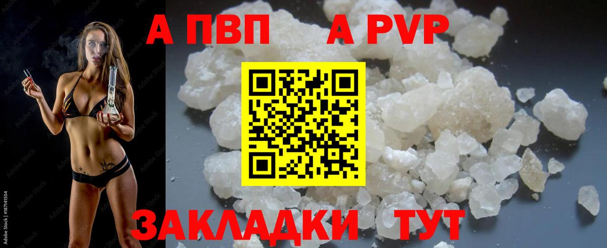 Альфа ПВП СК КРИС Кисловодск