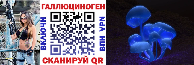 Псилоцибиновые грибы Cubensis  где купить наркоту  Кисловодск 