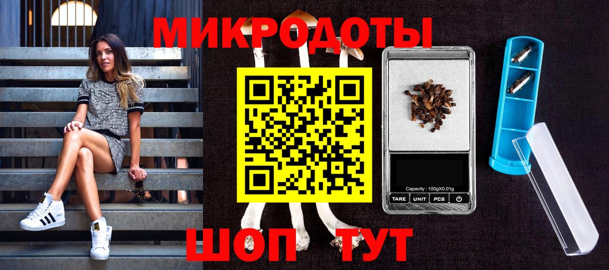Галлюциногенные грибы мицелий Кисловодск