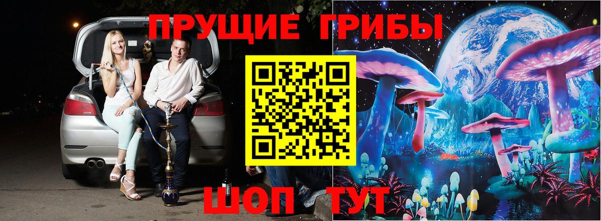 Галлюциногенные грибы Psilocybe  Псилоцибиновые грибы Magic Shrooms  купить наркоту  Кисловодск 