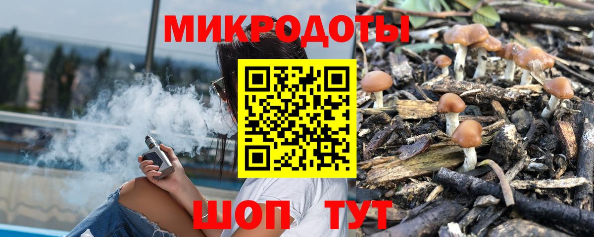 где купить наркоту  Вход с VPN  Кисловодск  Галлюциногенные грибы Magic Shrooms 