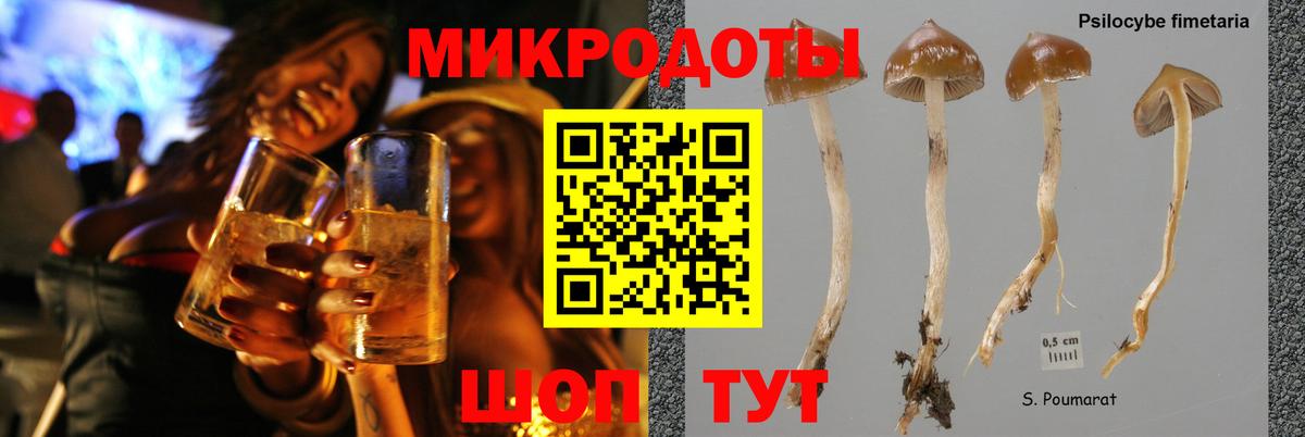 Галлюциногенные грибы мухоморы Кисловодск