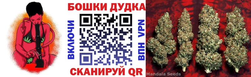купить   Кисловодск  Шишки марихуана ГИДРОПОН 